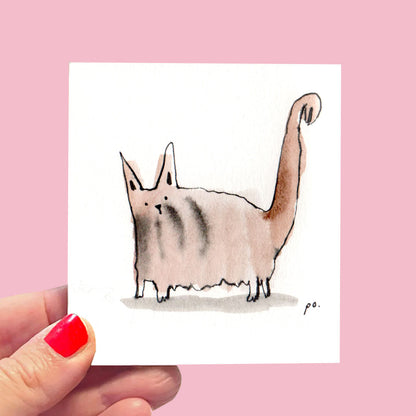 Langhåret kat