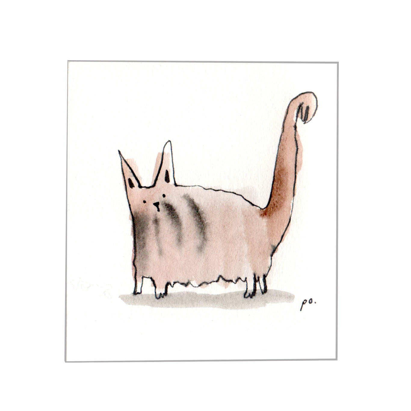 Langhåret kat